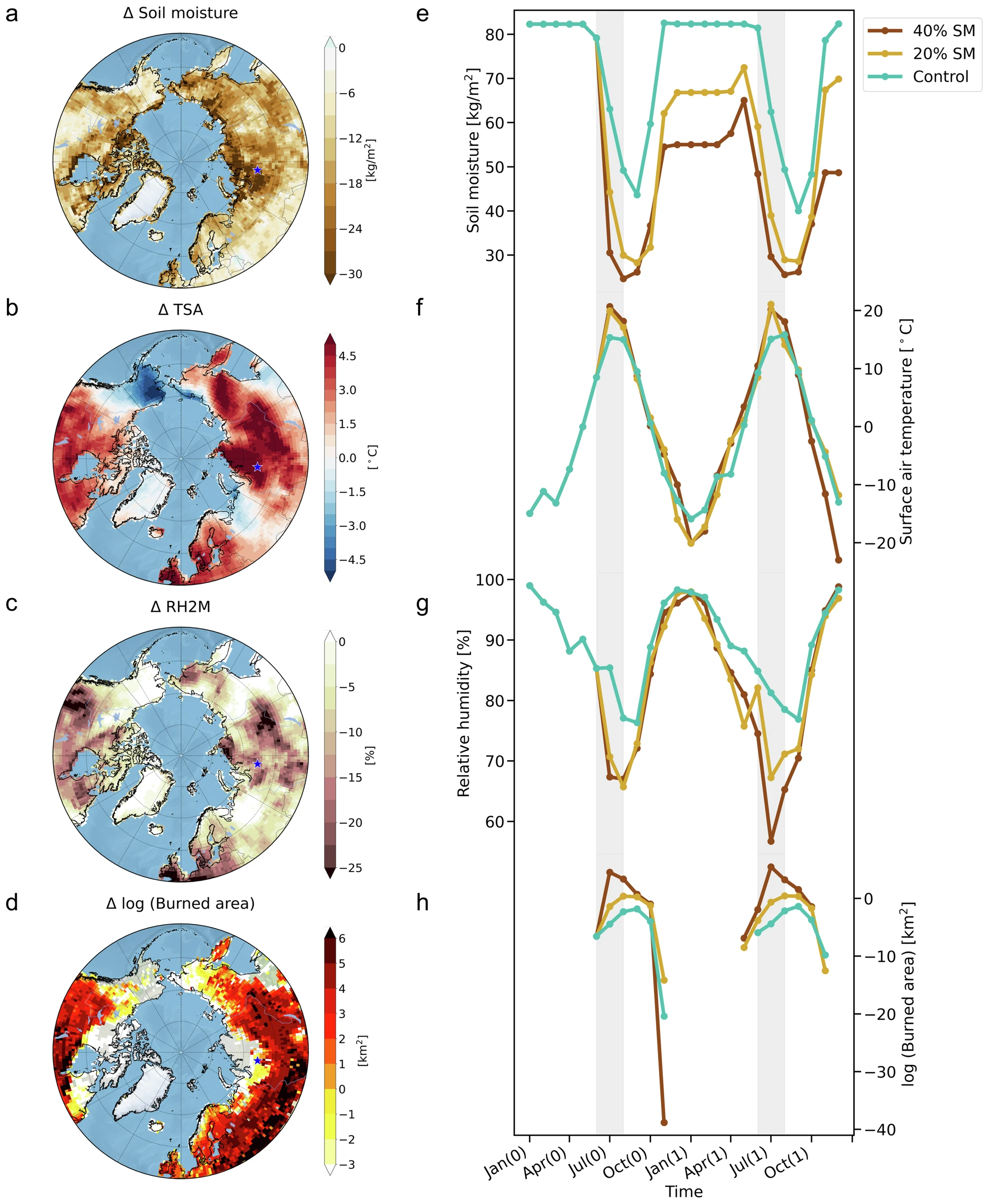 Atmospheric and wildfire responses to soil moisture reduction in the idealized experiments using the CESM2. The values represent differences between the response of a 40% soil moisture reduction perturbation experiment in July 2045 and a control simulation: (a) soil moisture in 0–10 cm depth (units: kg/m2), (b) surface air temperature (units: °C), (c) relative humidity at 2 m (units: %), and (d) logarithm of burned area [log (burned area)] (units: km2). Time evolution over Western Siberia (65.5°N, 83.75°E): (e) soil moisture over 0–10 cm depth (units: kg/m2), (f) surface air temperature (units: °C), (g) relative humidity at 2 m (units: %), and (h) logarithm of the burned area [log (burned area)] (units: km2) (blue: control simulation, yellow: 20% soil moisture reduction perturbation experiment, and brown: 40% soil moisture reduction perturbation experiment). Graphic: Kim et al., 2024 / Nature Communications