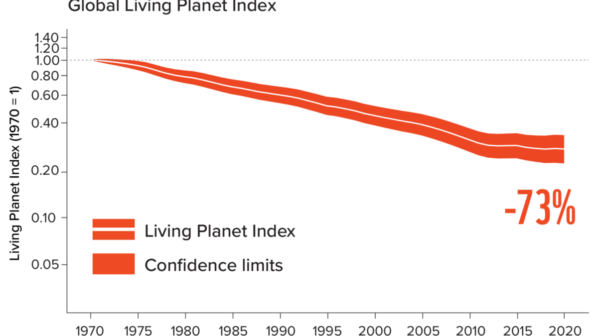 The global Living Planet Index, 1970-2020. The LPI is based on 34,836 monitored populations of 5,495 vertebrate species. The white line represents the index value, and the shaded areas represent the statistical uncertainty surrounding the value. Graphic: WWF / ZSL